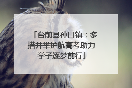 台前县孙口镇：多措并举护航高考助力学子逐梦前行